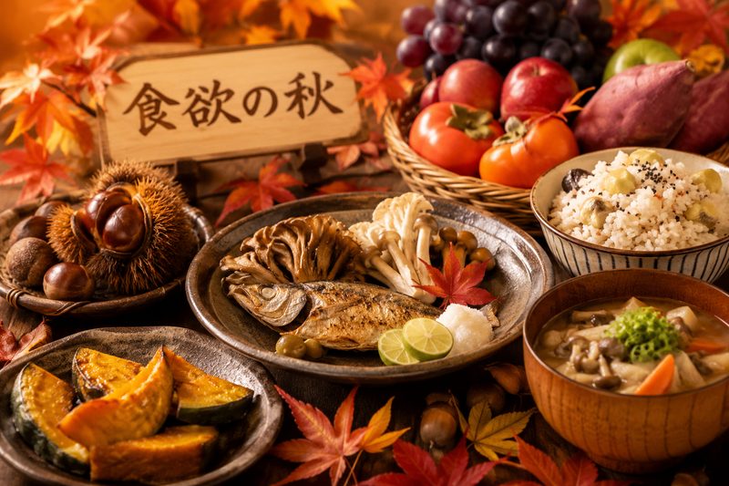 飿¬²ã®ç§ã®å³èŠïŒæ ã飯ã»çŒãéã»ãã®ãã»æ¿ïŒ