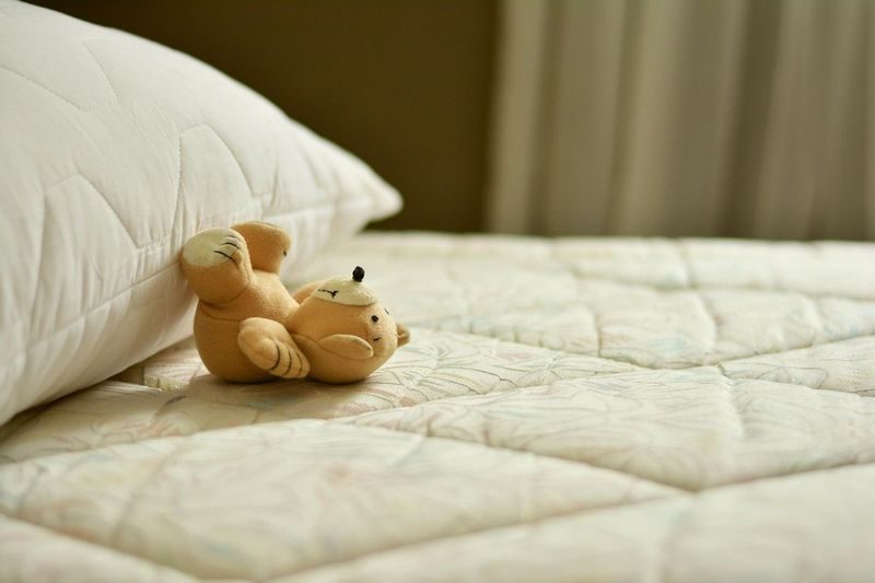 睡眠とダイエット｜7時間睡眠で食欲が自然に落ち着いた